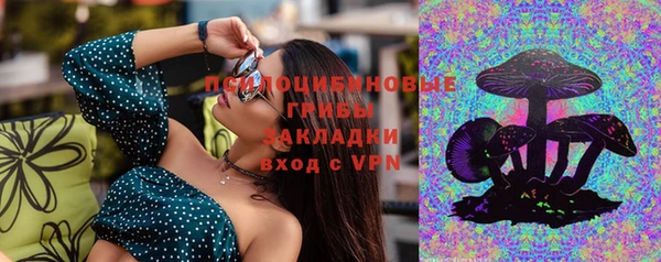 прущие крисы Балахна